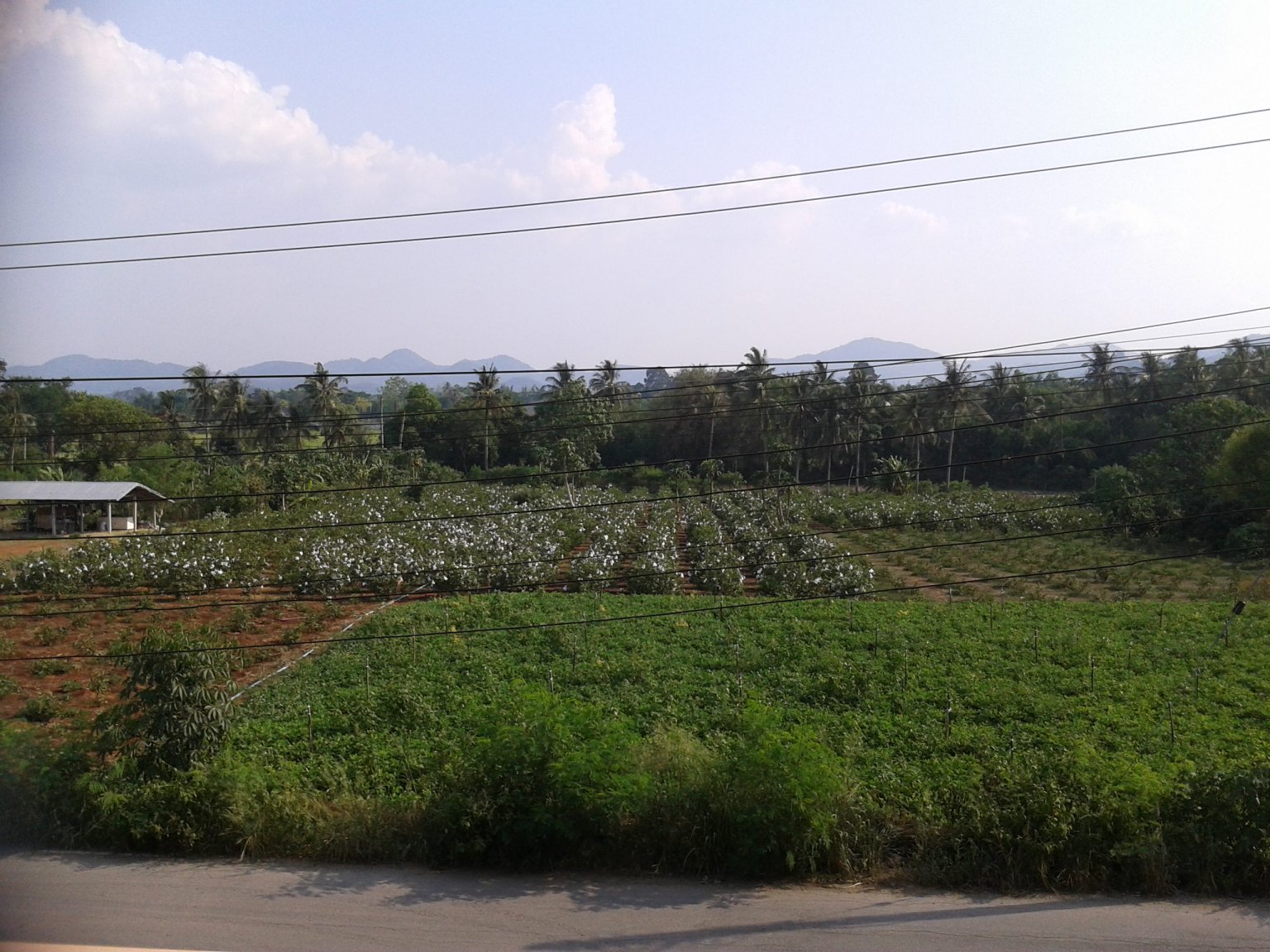 2015-04-20 15.59.01.jpg