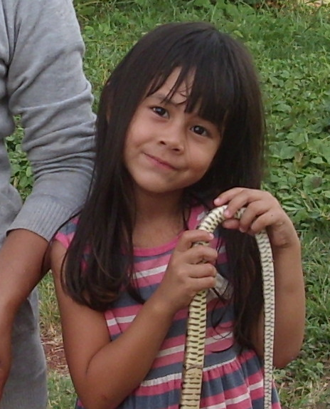 1570861428_longsnakecloseup01.png.e74a71f2c34bfab5534f8614742ea807.png