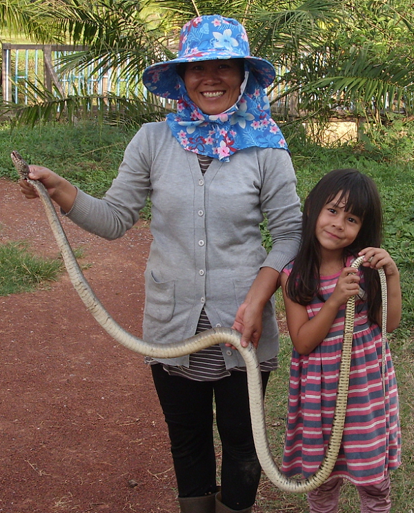 279011912_longsnake.png.82acef2188378eff176bd47cc5e484de.png