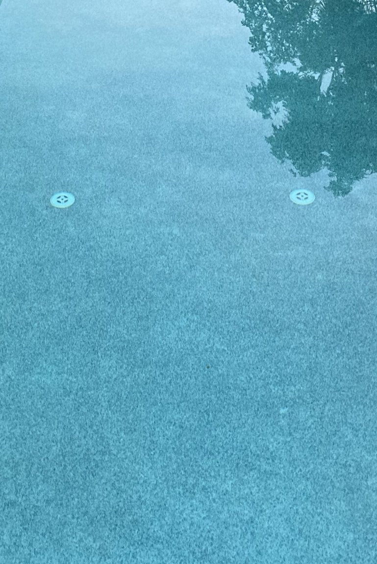 396B0550-E74B-41D5-B2E6-AD03141A9C98.jpeg