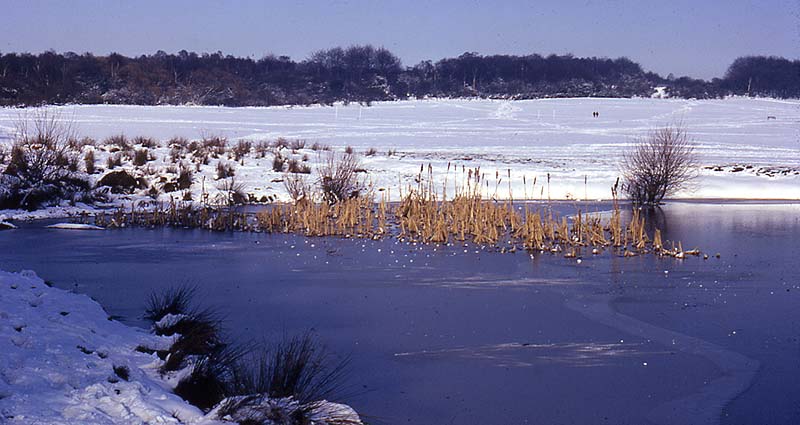 442419986_HainaultLakewinter69.jpg.b359fa693c8c6bdc7600b69543def1d9.jpg