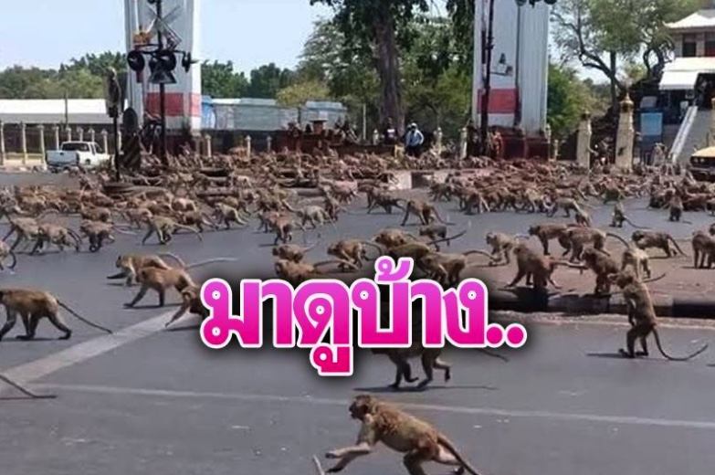 7pm.jpg