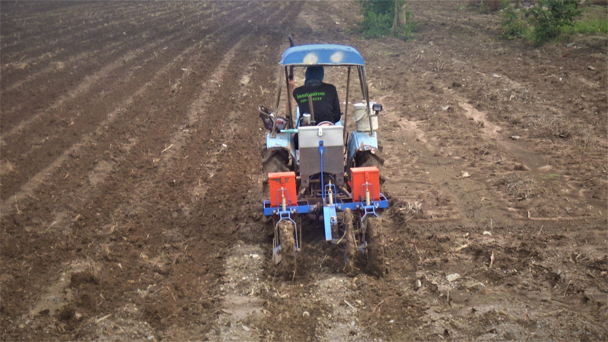 RIMG1669 (2).JPG