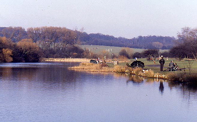 943951687_Lake84Hainault.jpg.fdd86333a2b9d218bb3663bee60bbc7d.jpg