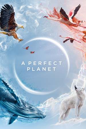 A-Perfect-Planet-2021.jpg.c65487189d899654d97264a648d61faf.jpg