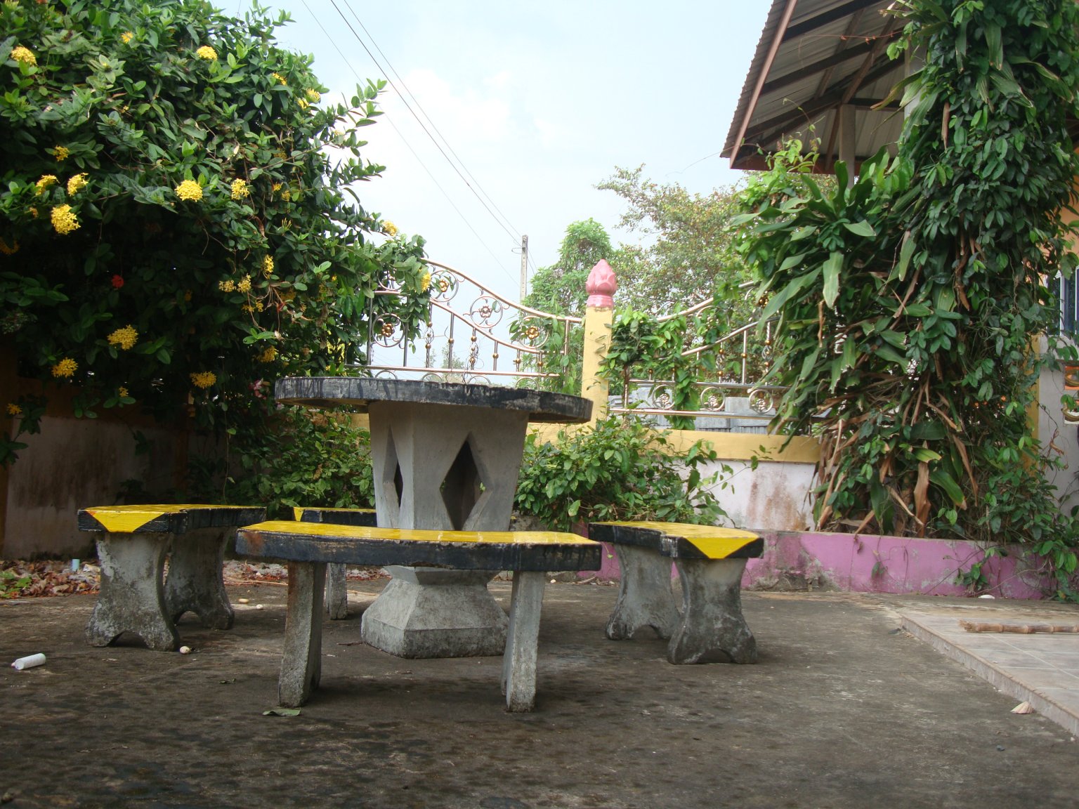 DSC02164.thumb.JPG.2dd9769af504d7f6f15298d1cbe56296.JPG