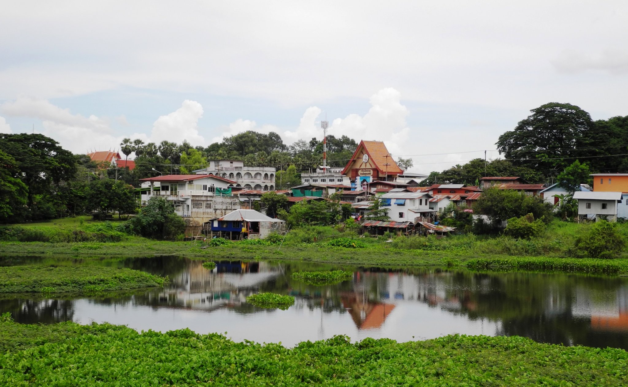 DSCN0168.JPG