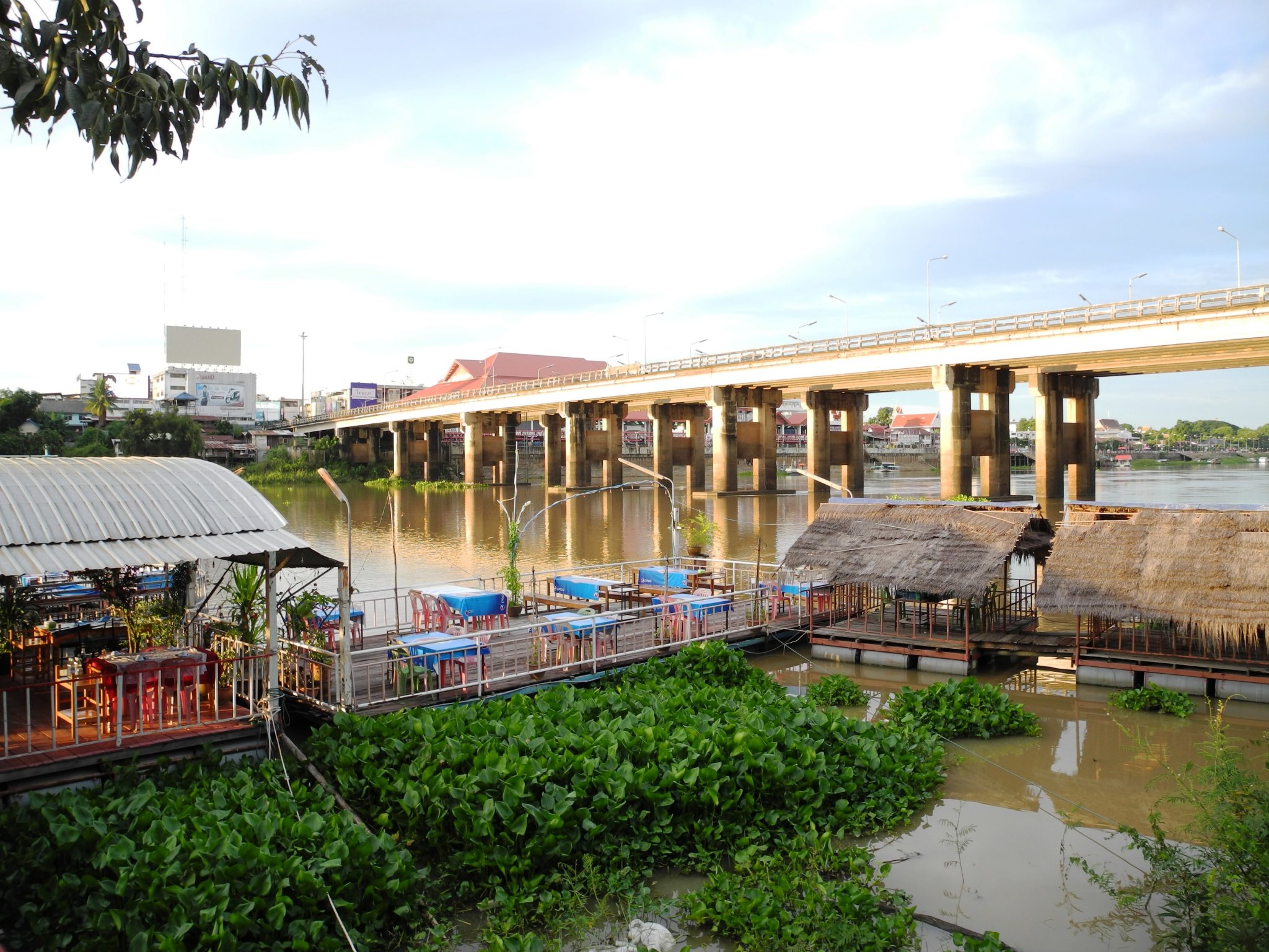 DSCN0206.JPG