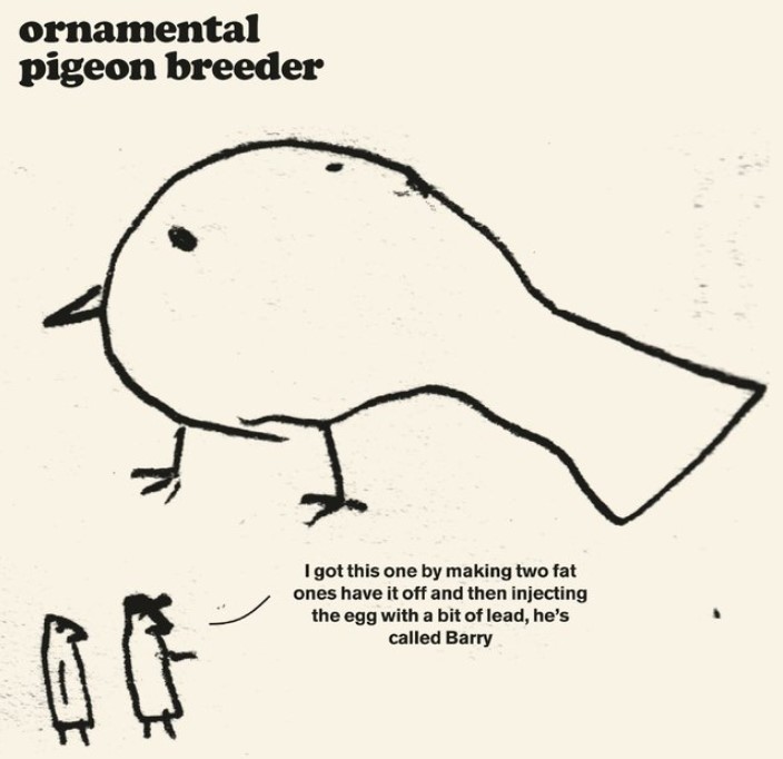 OrnamentalPigeonBreeder.jpg.69e6ac155ff315a8deb942700c043ddd.jpg