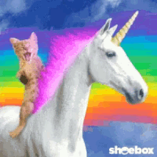 image.gif.d8a90dc9cc51a3116caf816226a4dc3f.gif