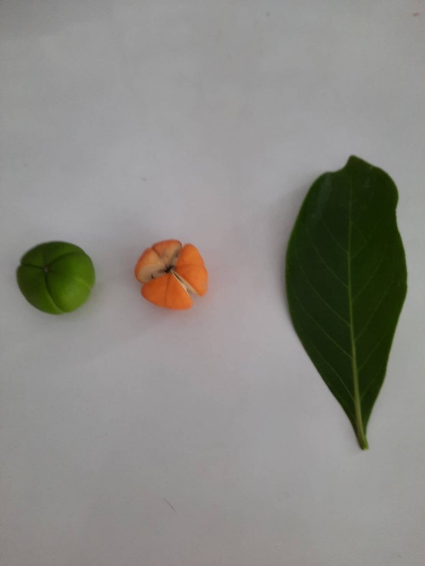 image.thumb.jpeg.a7877e2ca1502e5203dbf4421d852085.jpeg