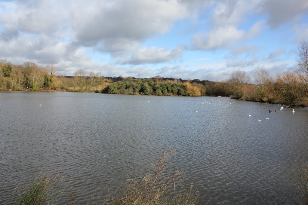 the-lake.jpg.fc76c789983f659fb83ff850f4d97ee6.jpg