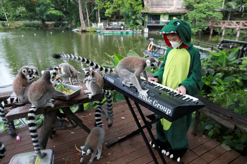 2021-05-26T115542Z_1_LYNXNPEH4P0QE_RTROPTP_4_HEALTH-CORONAVIRUS-THAILAND-ZOO.JPG