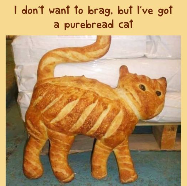 591976128_breadcat.png.c4c7aeee6fbd720c98b0012472a1806b.png