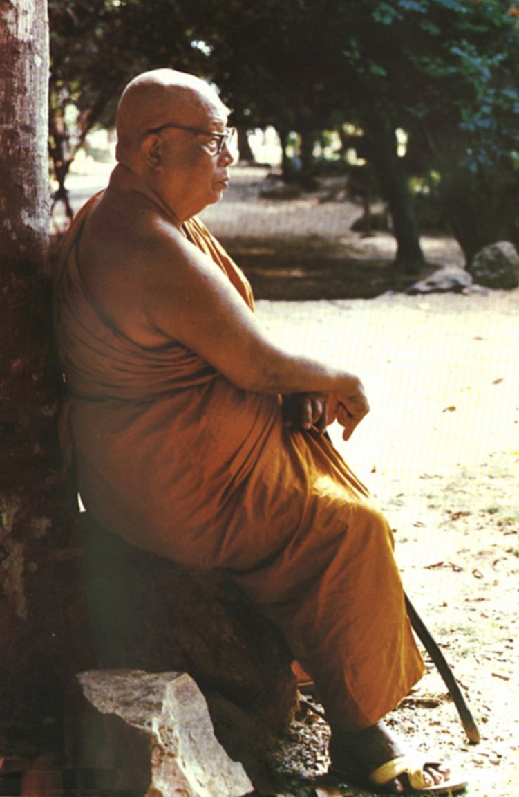 Buddhadasa.jpg