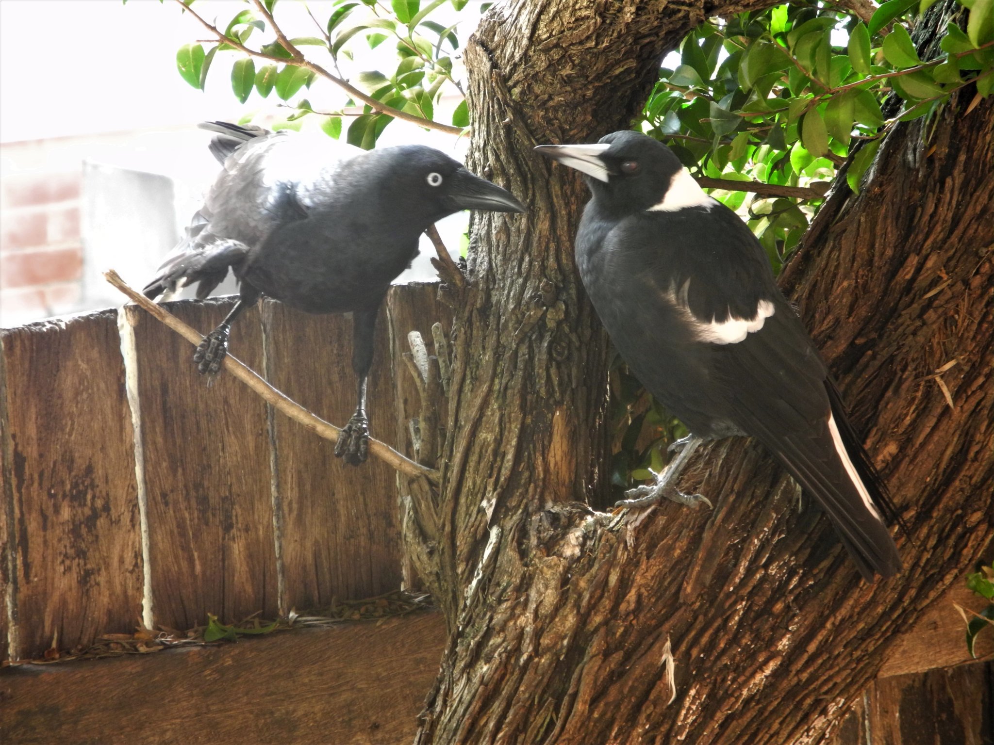 DSCN1068.JPG