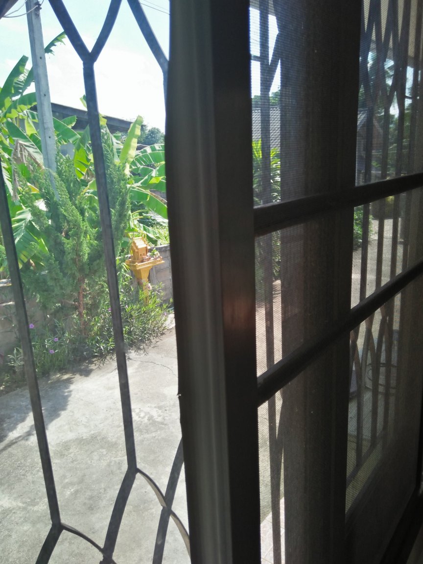 IMG20210512093311.jpg
