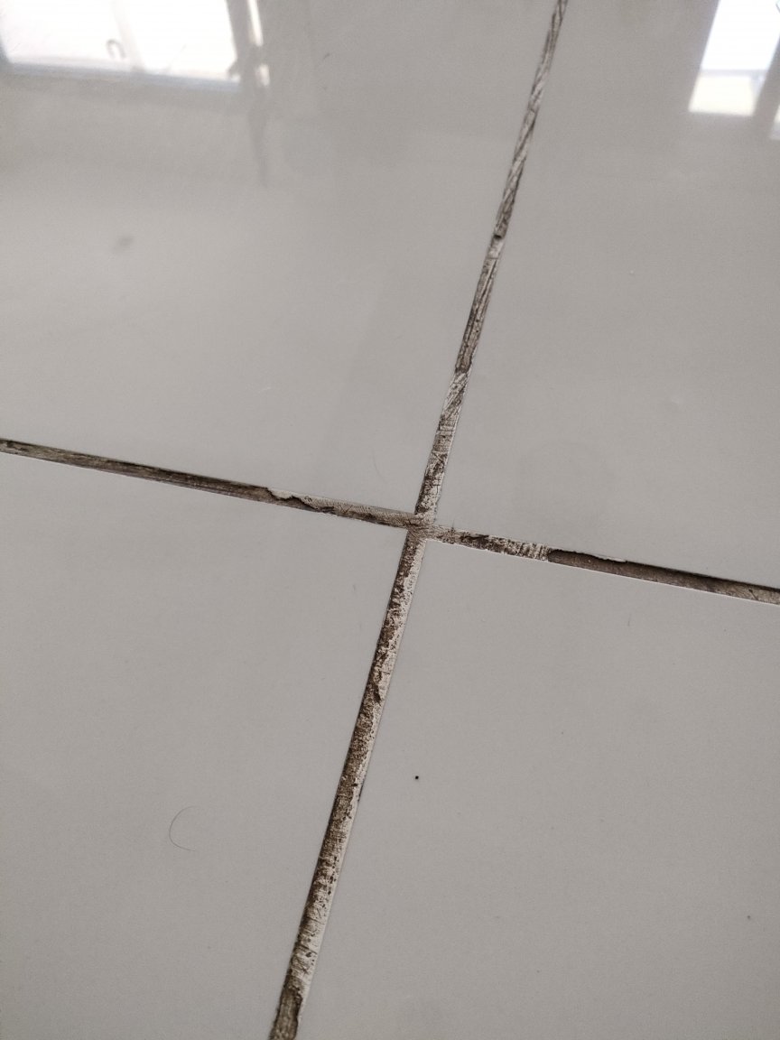 IMG20210520114923.jpg