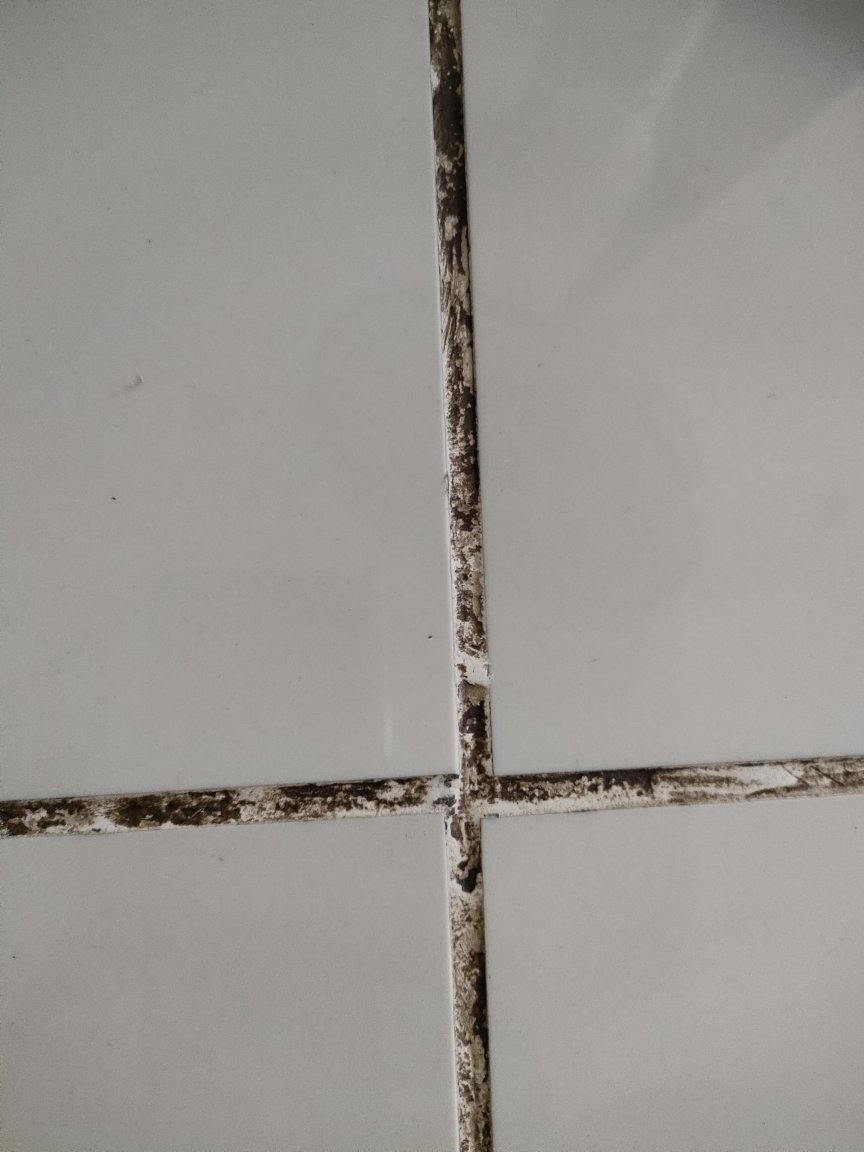 IMG20210520114930.jpg