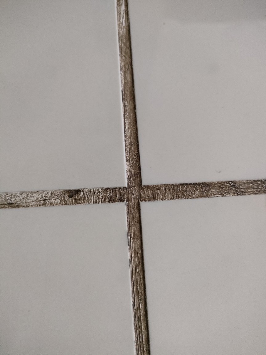 IMG20210520115002.jpg