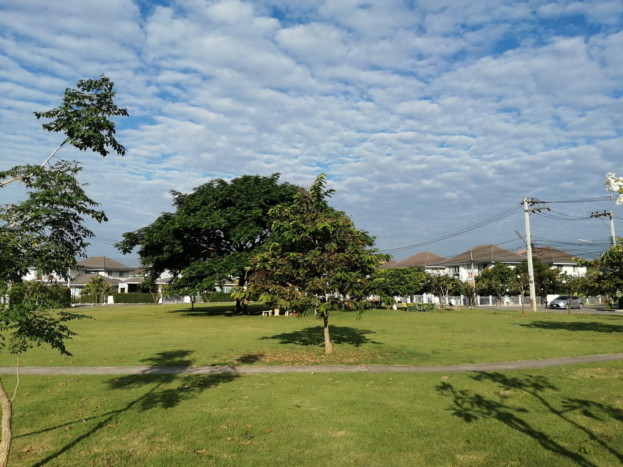 IMG_20201113_081105.jpg