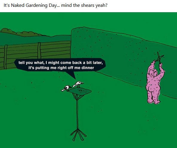 NakedGardeningDayYeah.jpg.6a879623cf7289ac2cc71527f4f7a46a.jpg
