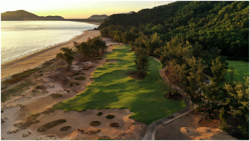 dhht.png