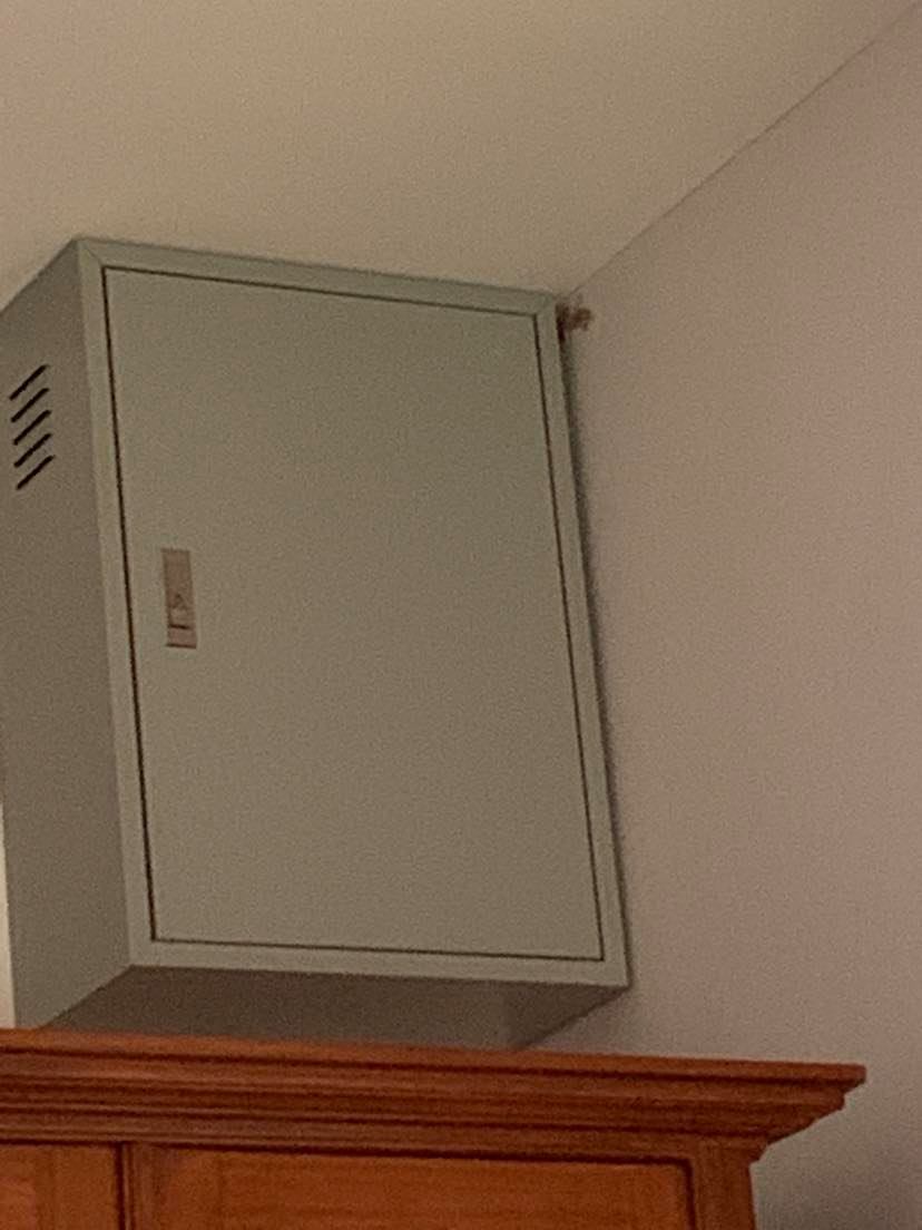 gecko.jpg.4572b2c39cc460f8fccfa52fdf9274b4.jpg