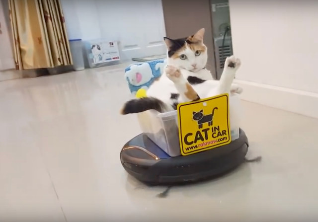 ghostriding-the-roomba.jpg.14ae1ff0e6593a4cb9b6b688a2f4e905.jpg