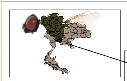 image.png.9523ed4d03a97472d1315730e226859c.png
