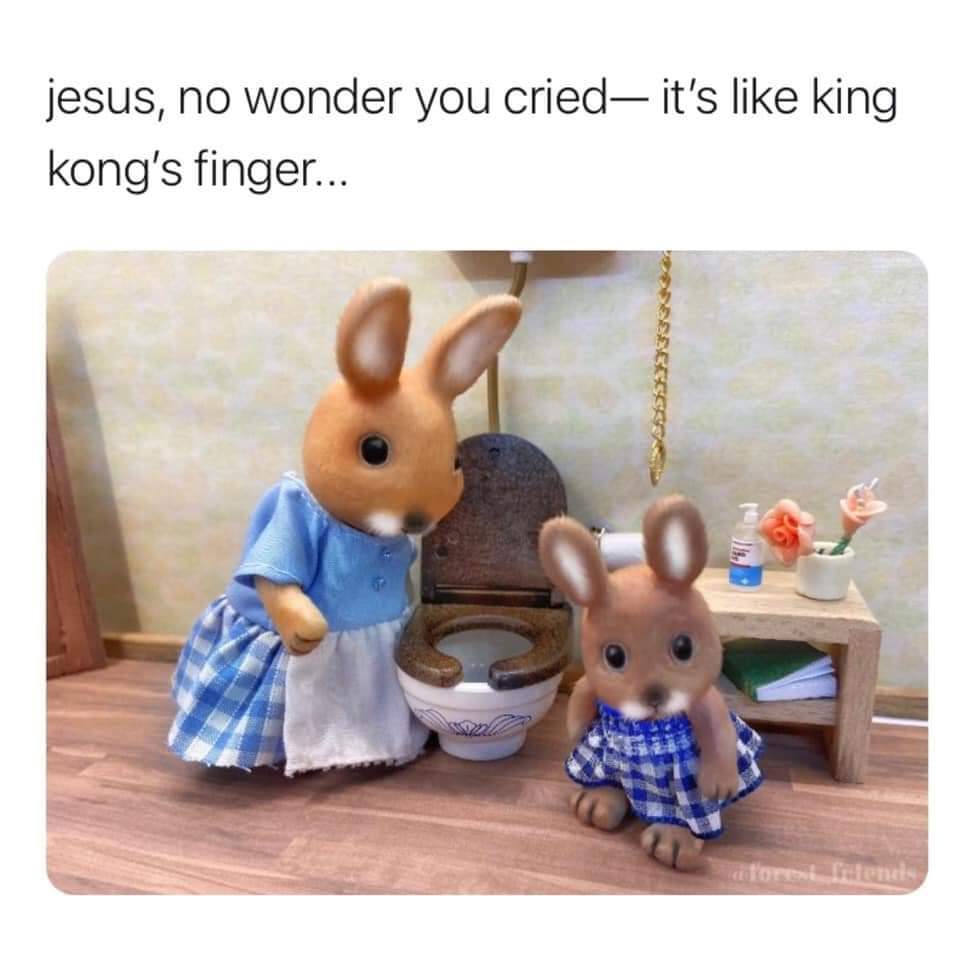 pWmckfL.jpeg.5a3e282c16bc170d63851bdb4acee5de.jpeg