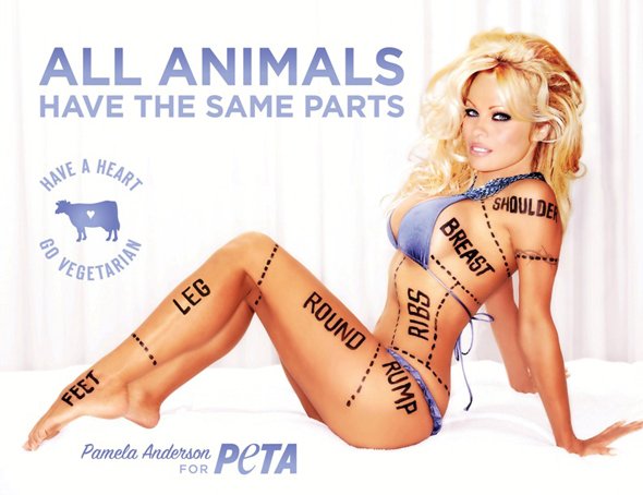 peta-pamela-anderson.jpg.f016f82c2d2322de0c8c35fa1abac444.jpg