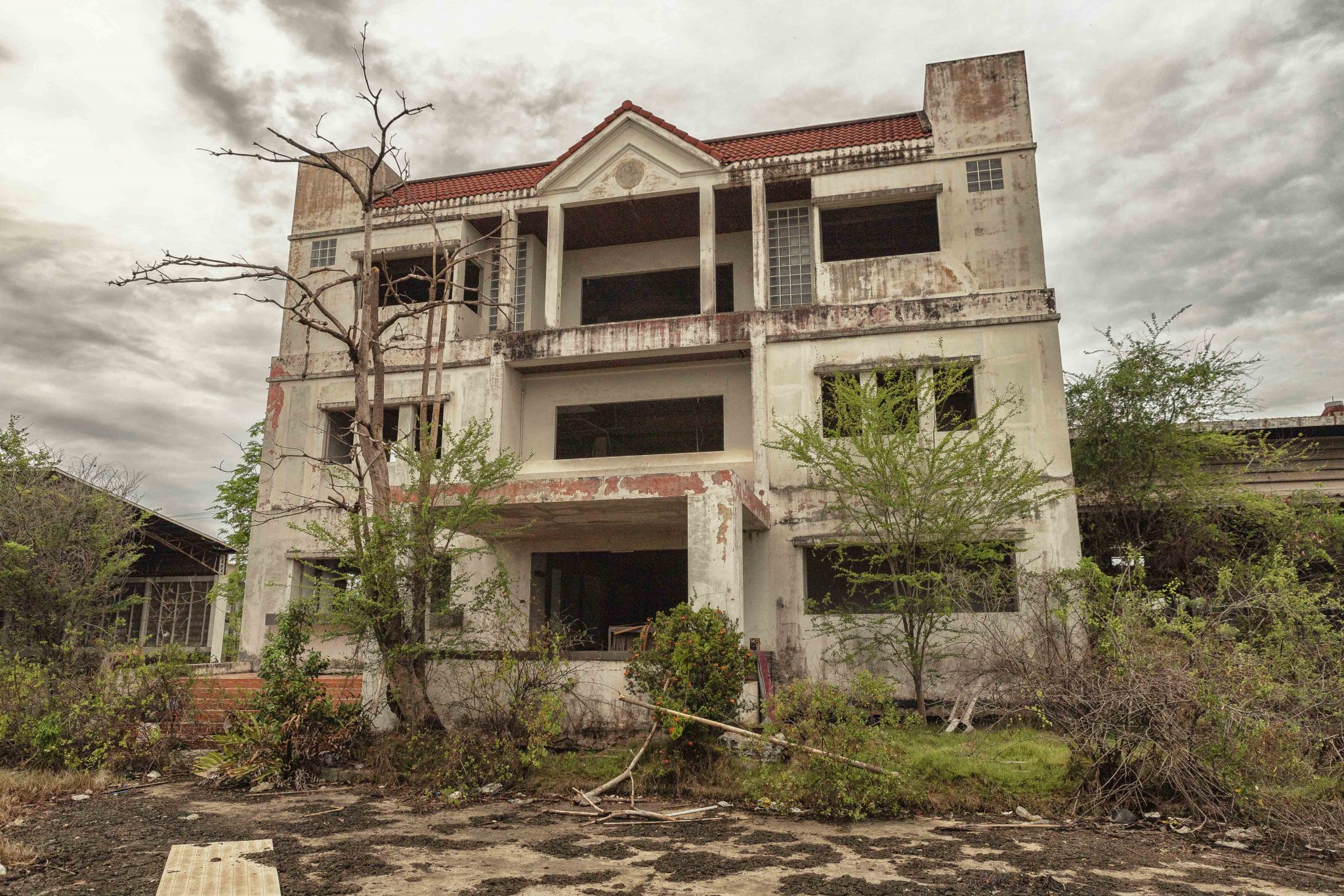 20210526dw001 copy.jpg