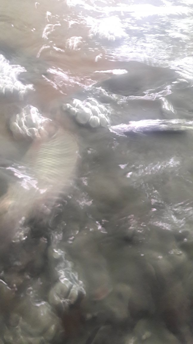 20210606_095643.jpg