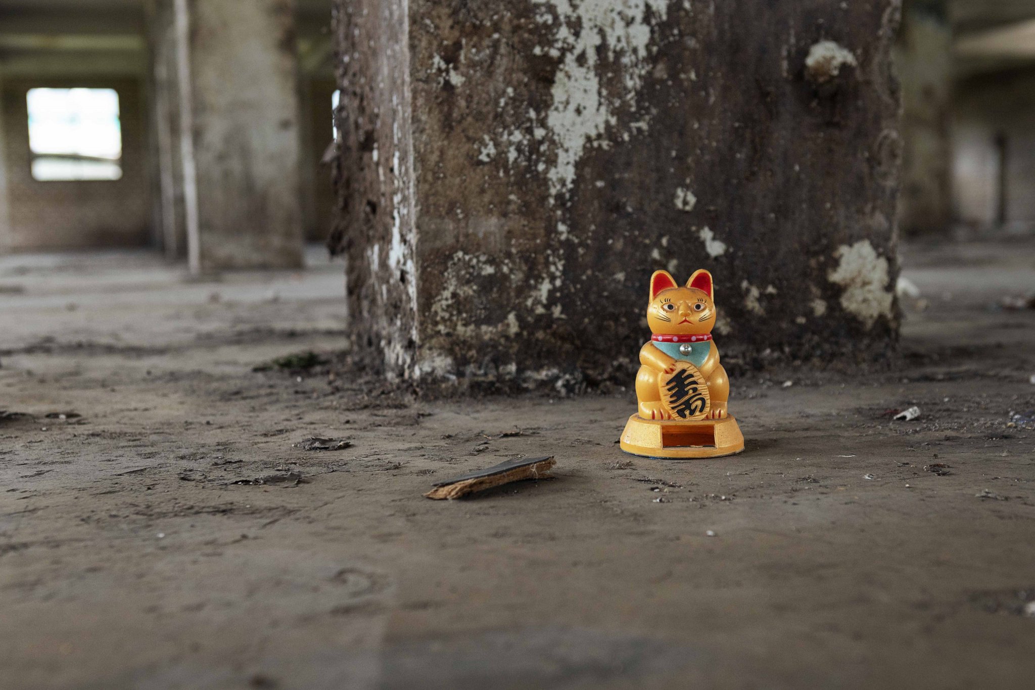 202100416dw154 copy.jpg