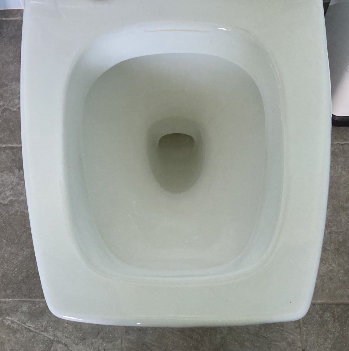 5FC5E205-8B77-4469-BF86-F7F09E55C2FB.thumb.jpeg.ffbfad4b77f57537bfa074fcca859adb.jpeg