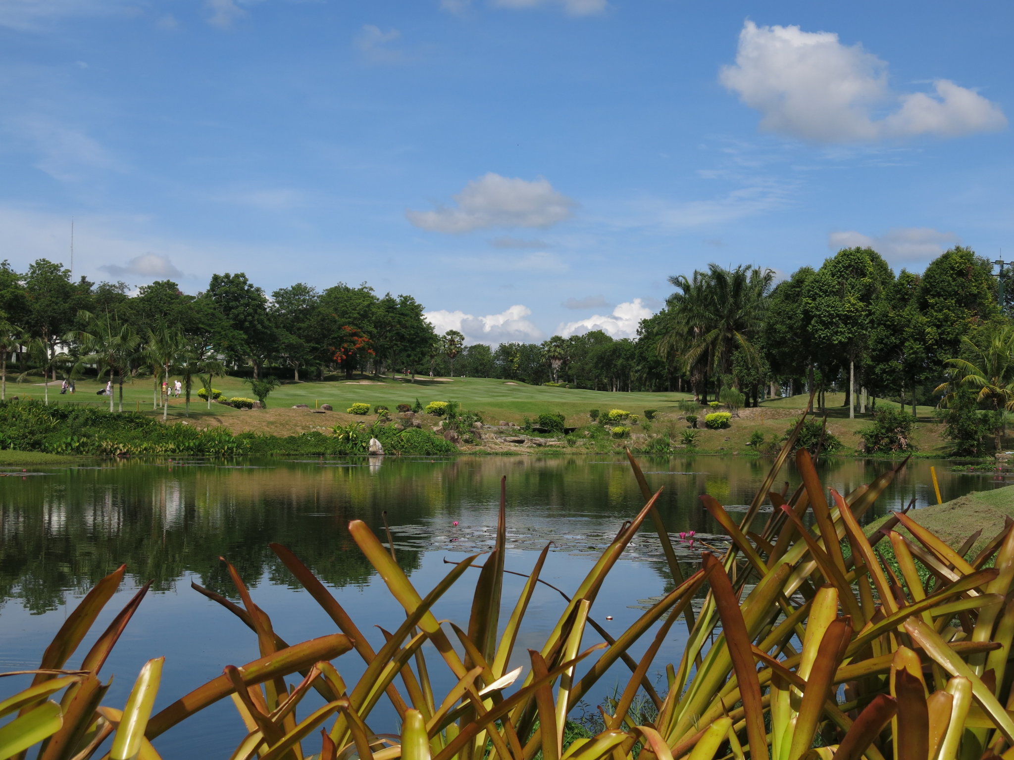 1ST HOLE RGV main picture.png