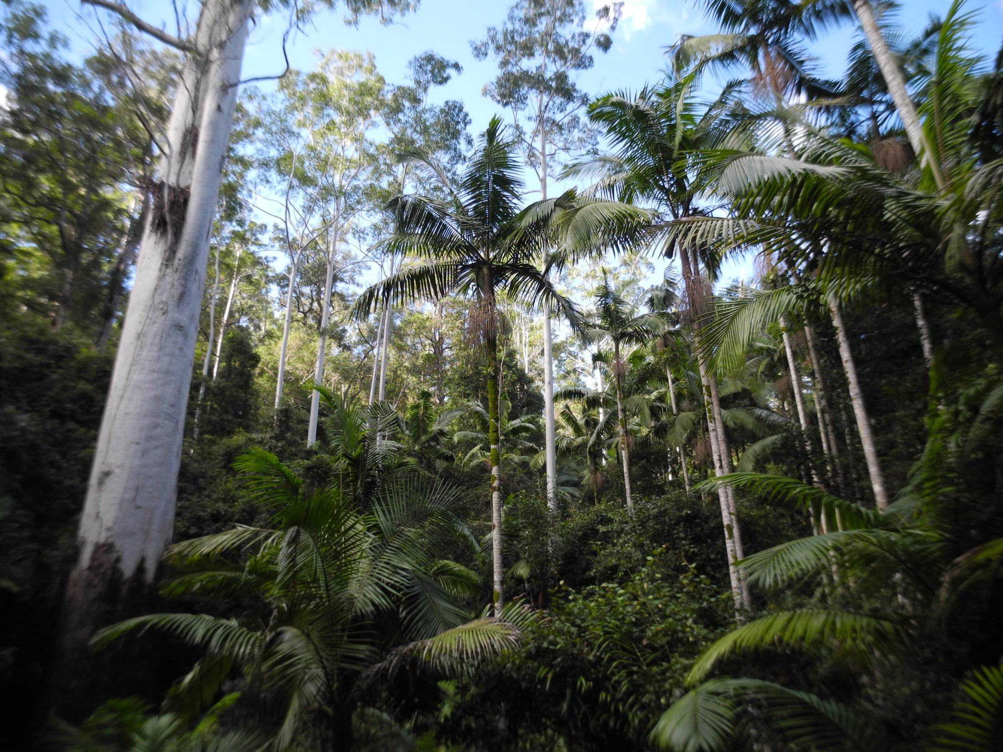DSCN1206.JPG