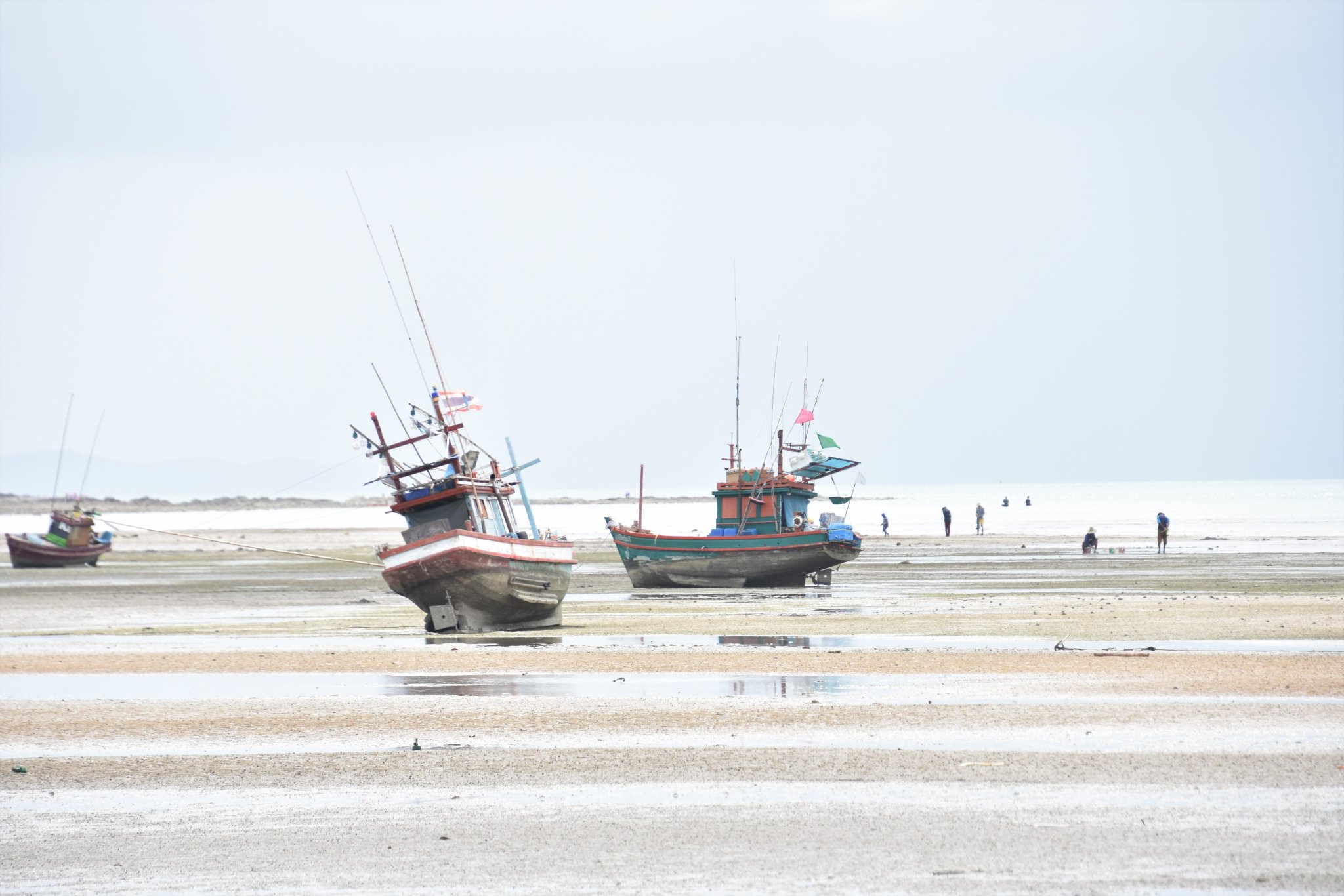 DSC_0586.JPG