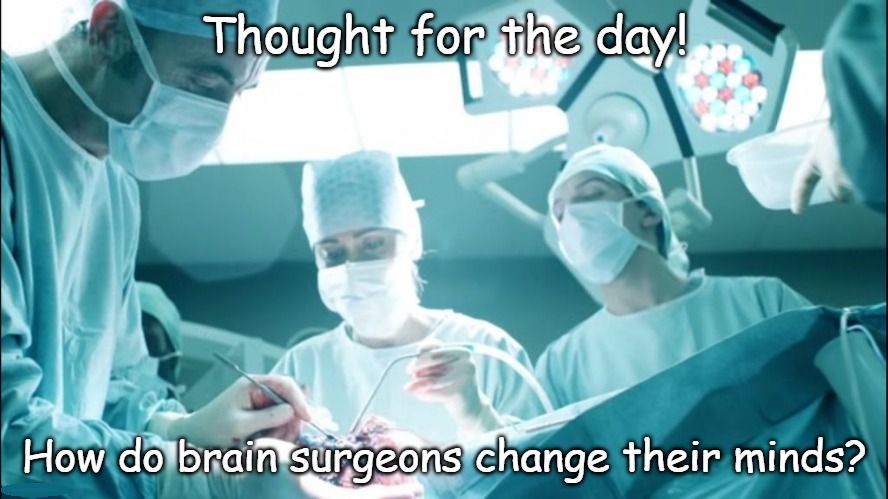 brain.jpg.94185f1cab33ba92bc3f33f93ca750a7.jpg