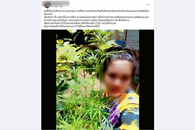 news_qnyOZrjXKL174842_533.jpg