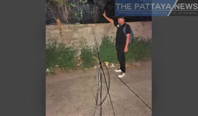 p1.jpg
