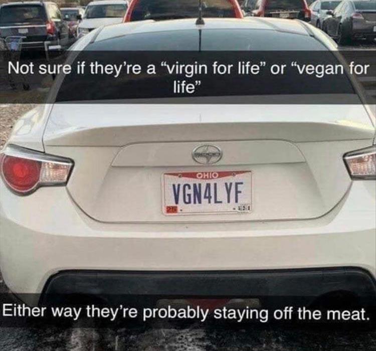 vegan.jpg.c7b7ca0edfc4b45ceacb5e04aa3e49eb.jpg