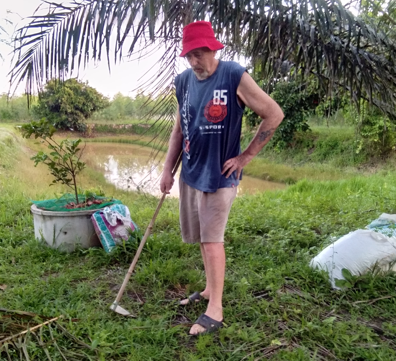 1613745256_afterworkinplantation01.png.fcc649dac89fa169a9394e5d7763187c.png