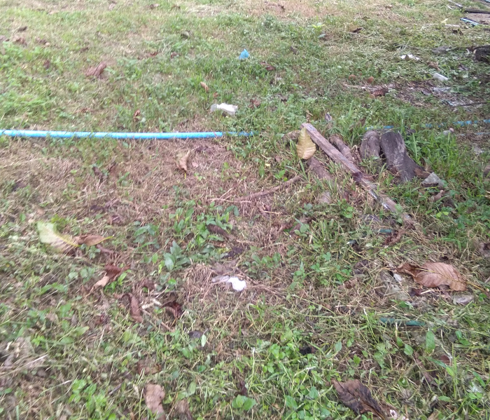 1828884805_schoolrubbish.png.c40f83009e684bf37bb1e0741446093d.png