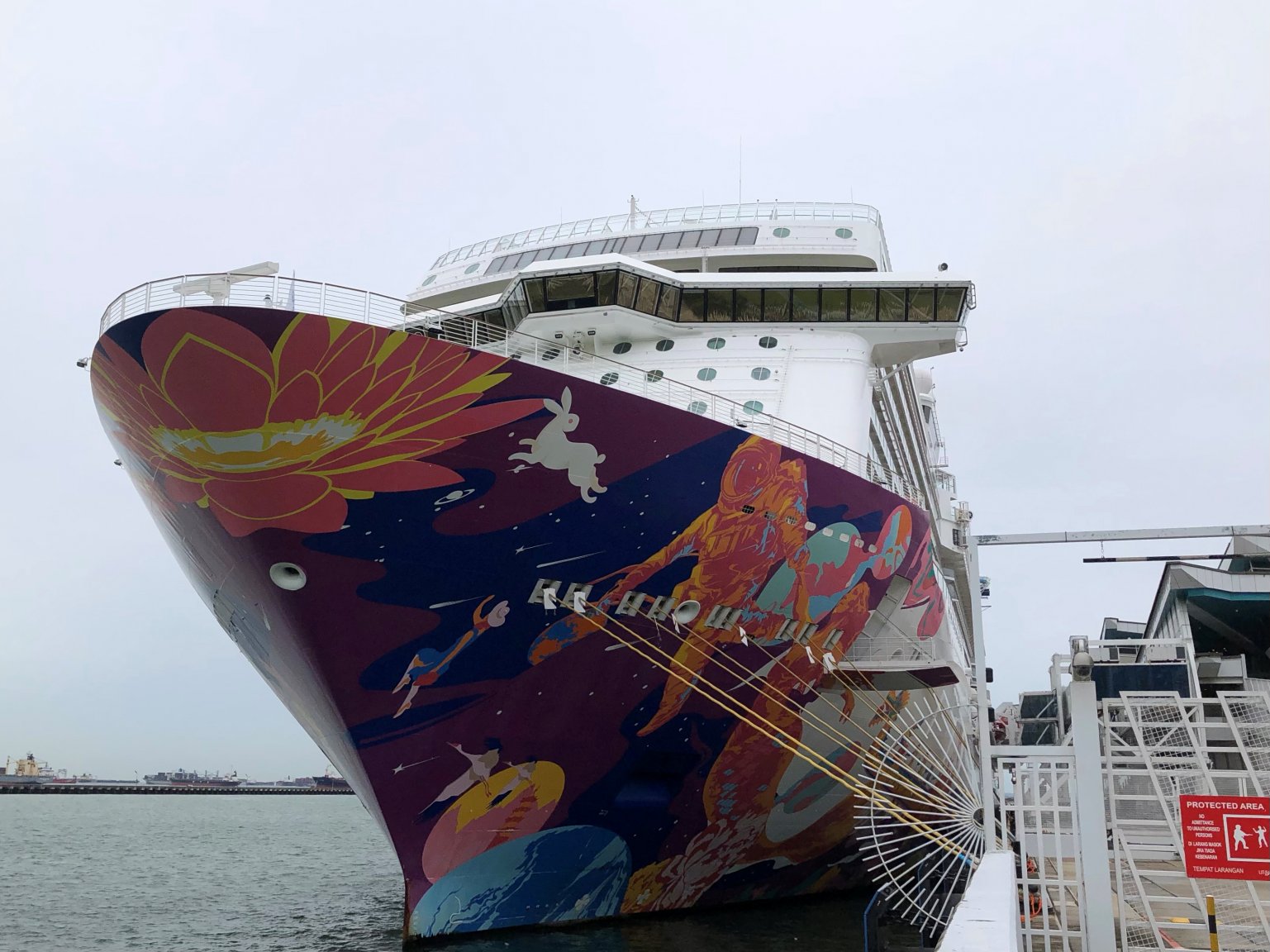 2021-07-14T064624Z_1_LYNXMPEH6D07L_RTROPTP_4_HEALTH-CORONAVIRUS-SINGAPORE-CRUISESHIP.thumb.JPG.e416e3e885e10e26722d7d0ecfd85923.JPG