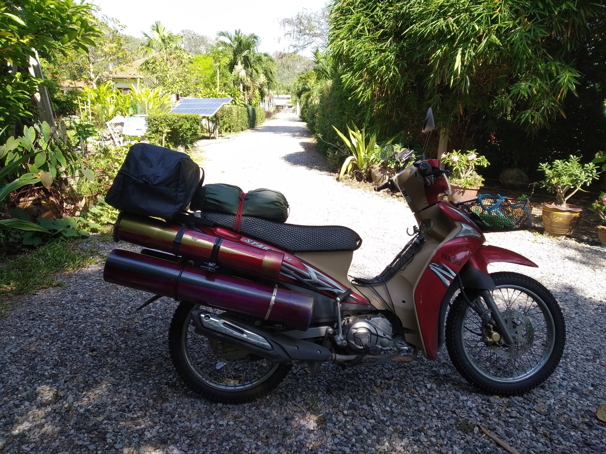 IMG_20210421_091550 (1).jpg