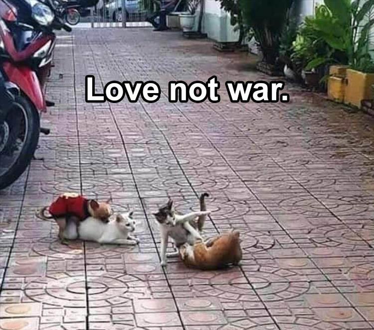 4-make-love-not-war.jpg.a5fe0eb101b3d097d8b511f45e53c445.jpg