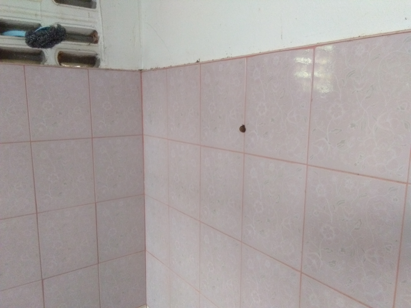972515547_littlesnail.png.a7b8081e56411849a0fa47f8654a1070.png