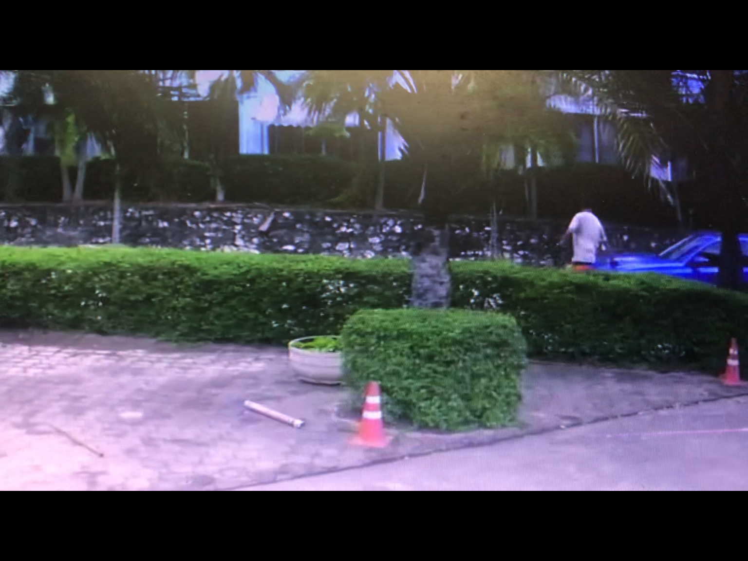 C50038D7-056C-4D4D-93CF-8DCB0C6E0598.png